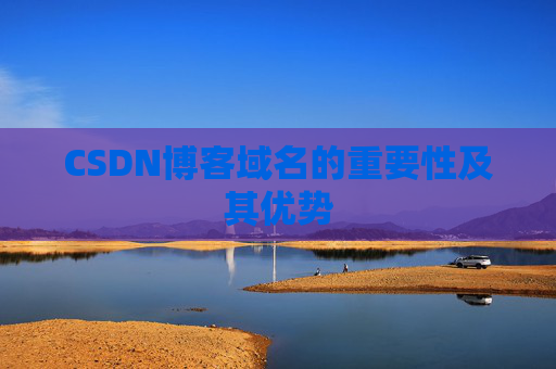 CSDN博客域名的重要性及其优势